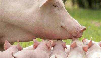 【重要提示】天涼好個(gè)秋，當(dāng)心“附”和“弓”